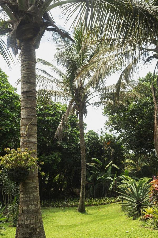The Villa Salt Rock Ballito Extérieur photo